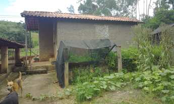 Imagem 2: CHACARA RURAL em BORDA DA MATA - MG, BAIRRO DO MASCATE