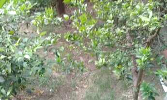 Imagem 5: CASA RESIDENCIAL em CAMPINAS - SP, LIZA