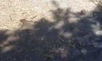 Imagem 2: TERRENO RESIDENCIAL em Monte Mor - SP, Chácara Recanto dos Bosques