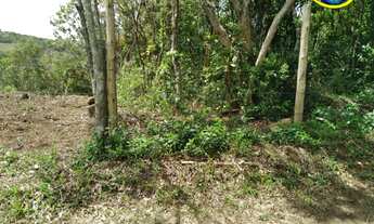 Imagem 3: 19009M² de Área Total