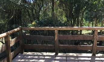 Imagem 6: 4 dormitórios, 4 vagas na garagem