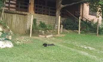 Imagem: 4 dormitórios, 4 vagas na garagem