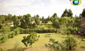 Imagem: 462M² de Área Total