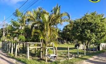 Imagem 4: 700M² de Área Total