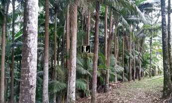 Imagem 6: 7 dormitórios, 2 suíte, 5 banheiro, 31990M² de Área Construída