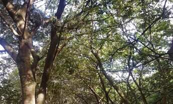 Imagem 5: APARTAMENTO RESIDENCIAL em SÃO PAULO - SP, VILA TALARICO