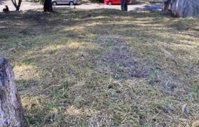 Imagem 5: TERRENO A VENDA EM SP PARQUE DOS PRINCIPES