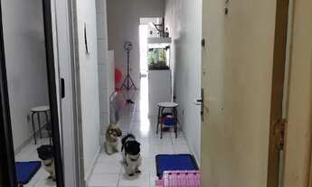 Imagem 4: APARTAMENTO A VENDA EM SP CAMPOS ELÍSEOS