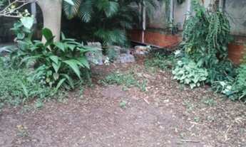 Imagem 6: TERRENO A VENDA EM SP VILA EDE