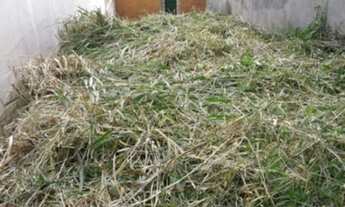 Imagem 3: TERRENO A VENDA EM SP ITAQUERA