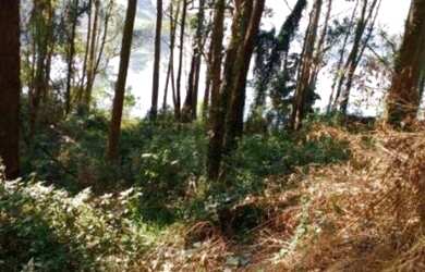 Imagem 4: TERRENO A VENDA EM SP JARDIM MARQUESA