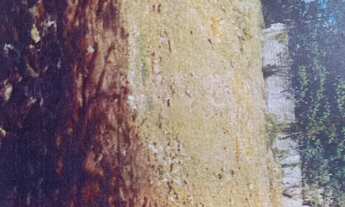 Imagem 7: TERRENO A VENDA EM SP MORUMBI