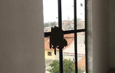 Imagem 4: APARTAMENTO A VENDA EM SP PATRIARCA