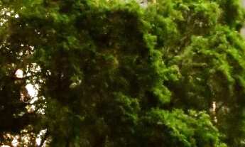 Imagem: SALA COMERCIAL A VENDA EM SP BELA VISTA