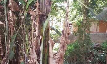 Imagem 4: TERRENO A VENDA EM SP AMERICANOLOPOLIS