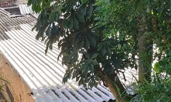 Imagem 6: TERRENO A VENDA EM SP AMERICANOLOPOLIS