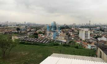 Imagem 5: GALPÃO A VENDA EM SP PENHA