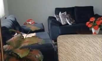 Imagem 4: SOBRADO A VENDA EM SP VILA FORMOSA