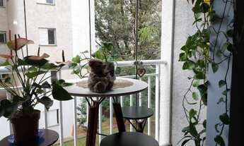 Imagem 7: APARTAMENTO A VENDA EM SP PENHA