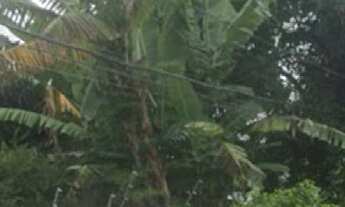 Imagem 7: TERRENO A VENDA EM SP BARRO BRANCO