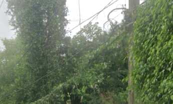 Imagem 4: TERRENO A VENDA EM SP BARRO BRANCO