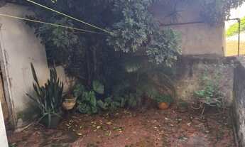 Imagem: TERRENO A VENDA EM SP TUCURUVI