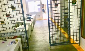 Imagem 4: CASA COMERCIAL PARA LOCAÇÃO EM SP VILA MARIANA