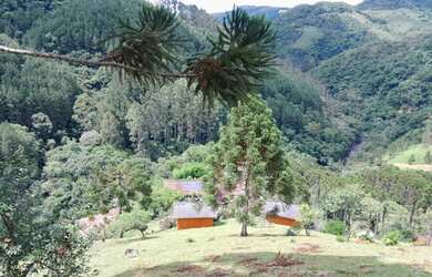 Imagem 5: AREA RURAL em ANITÁPOLIS - SC, Rio da Prata