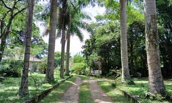 Imagem: SÍTIO RURAL em FLORIANÓPOLIS - SC, RATONES