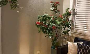 Imagem 6: Condomínio Parque do Varvito