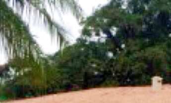 Imagem 2: 800M² de Área Total