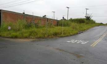 Imagem: JARDIM PAULISTA, 216M² de Área Total