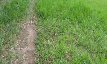 Imagem 4: 5300M² de Área Construída