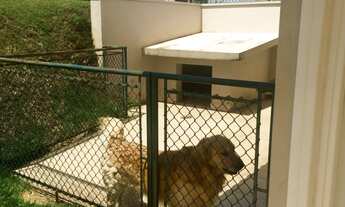 Imagem 3: 4 dormitórios, 3 suíte, 6 banheiro, 6 vagas na garagem, 334M² de Área Construída