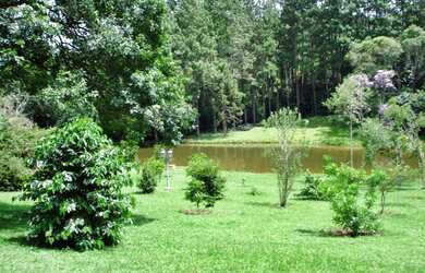 Imagem 2: Sitio em Juquitiba, com área de 6 Alqueires