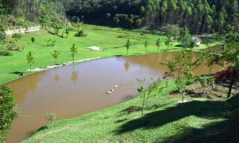 Imagem: Sítio com lagos em Juquitiba