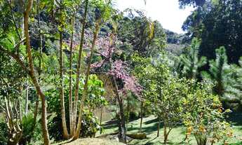 Imagem 5: Sítio com lagos em Juquitiba