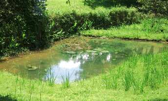 Imagem 3: Chácara em São Lourenço da Serra, com excelente localização e ótimo bairro