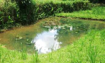 Imagem 6: Chácara em São Lourenço da Serra, com excelente localização e ótimo bairro