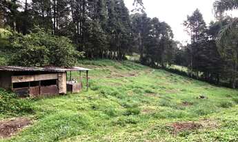 Imagem 7: Sítio em São Lourenço da Serra