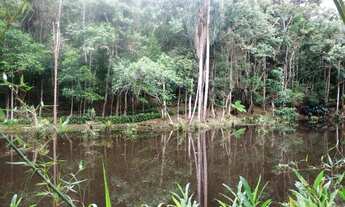 Imagem 5: Terreno em São Lourenço da Serra, com área de 3 alqueires com lindo lago