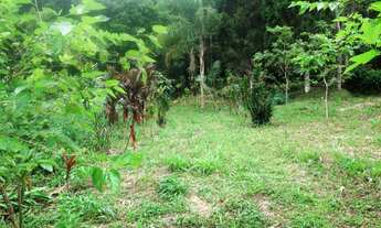 Imagem 7: Terreno em São Lourenço da Serra, com área de 3 alqueires com lindo lago