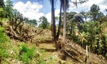 Imagem: Terreno em São Lourenço da Serra