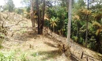 Imagem 2: Terreno em São Lourenço da Serra