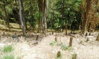 Imagem 4: Terreno em São Lourenço da Serra