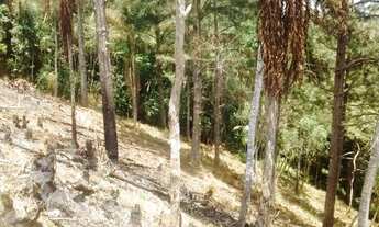 Imagem 5: Terreno em São Lourenço da Serra