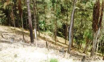 Imagem 6: Terreno em São Lourenço da Serra