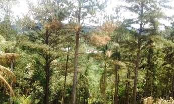 Imagem 7: Terreno em São Lourenço da Serra