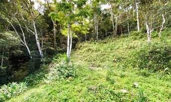 Imagem 4: Terreno medindo 25.000,00 m² com Escritura Definitiva