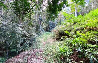 Imagem 2: Terreno medindo 25.000,00 m² com Escritura Definitiva